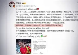 九游ninegame- 樊振东足球 